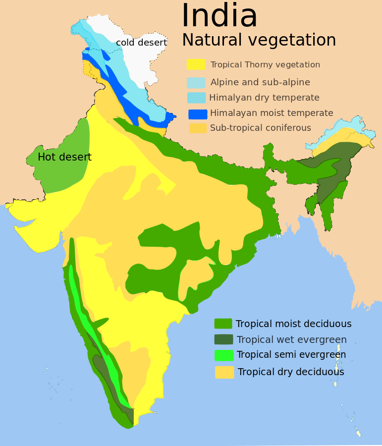 WHICH…. vegetation exists in India?  Vegetation map of India. (Source: Wikimedia Commons, Author: Amog, https://commons.wikimedia.org/wiki/).