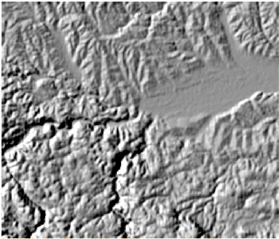 Shading generated in QGIS with the following light source position: 300 degree azimuth, 40 degree vertical angle.