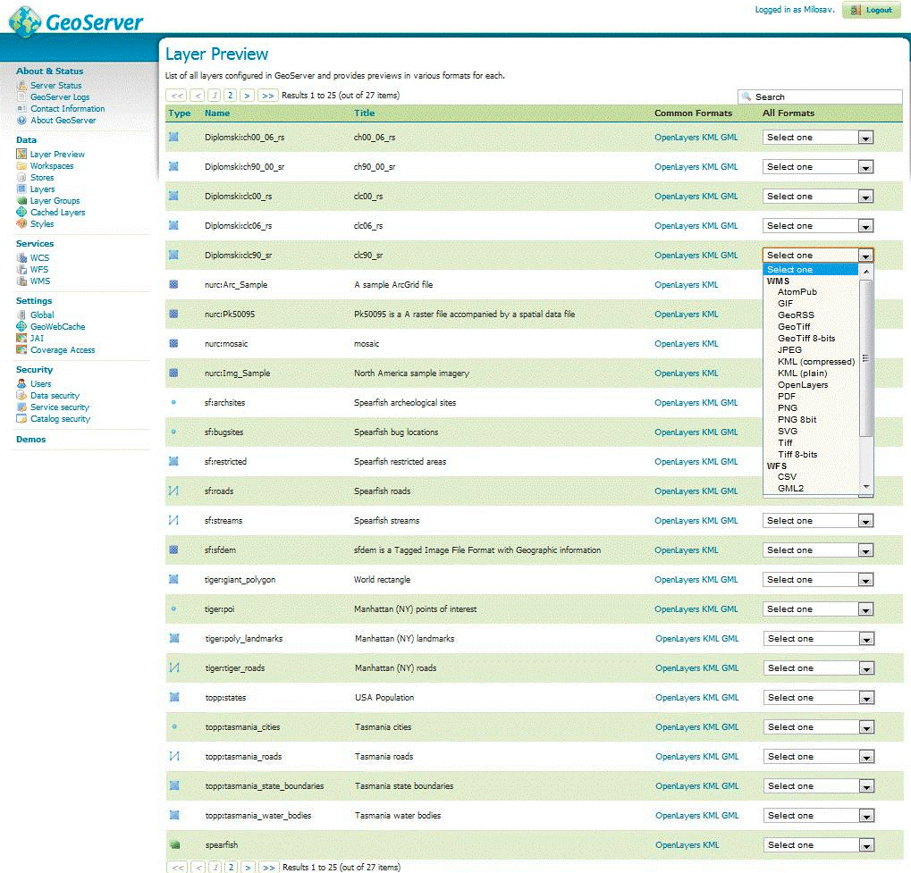 Layer Preview page listing all *layers*.